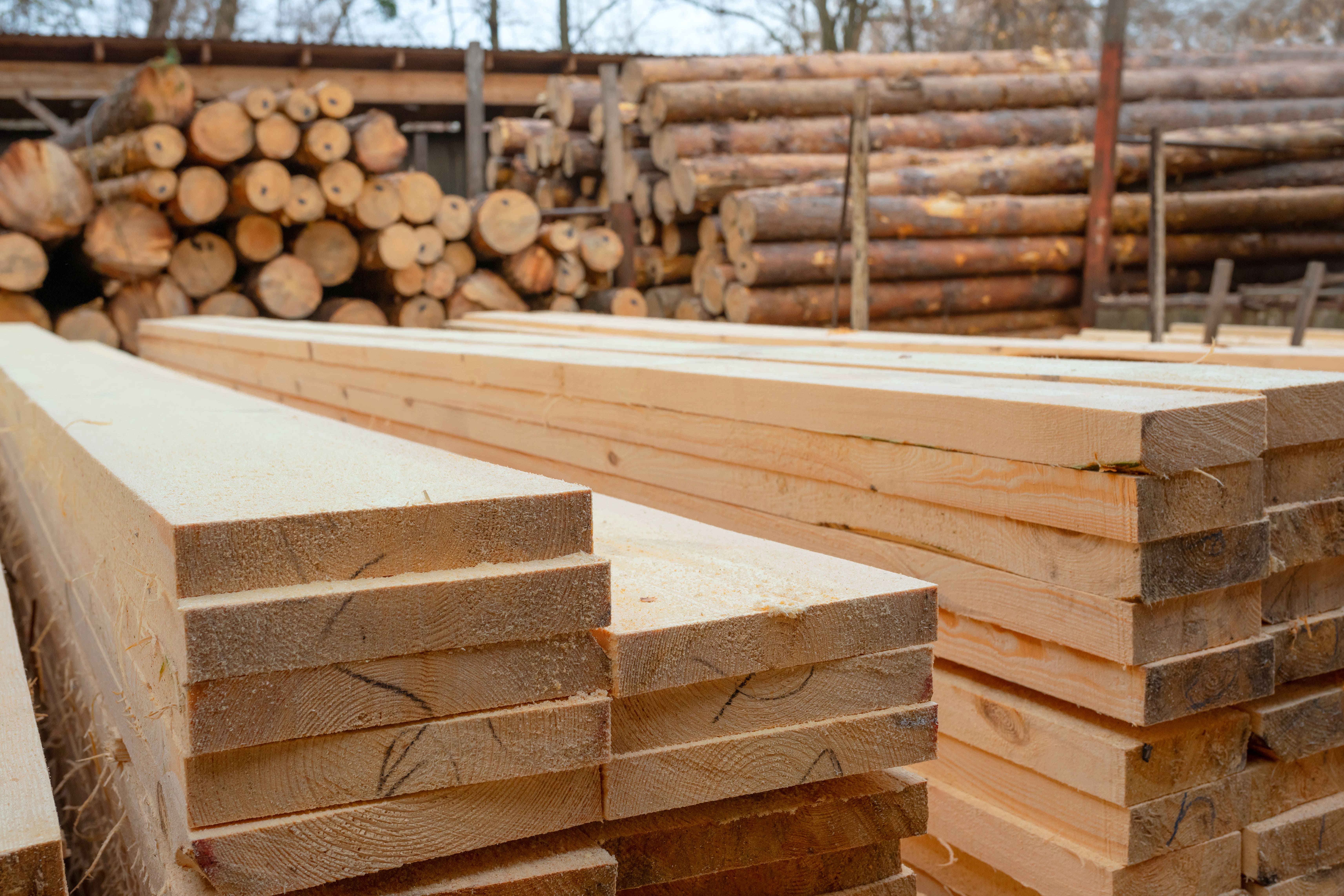 Holzstapel frisch zugesägt vor Holzstämmen im Freien.